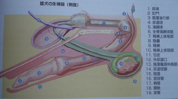 网投十大信誉可靠平台